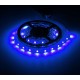 Bandeau LED 2M (Rouge - Vert- Bleu - Blanc) 12V